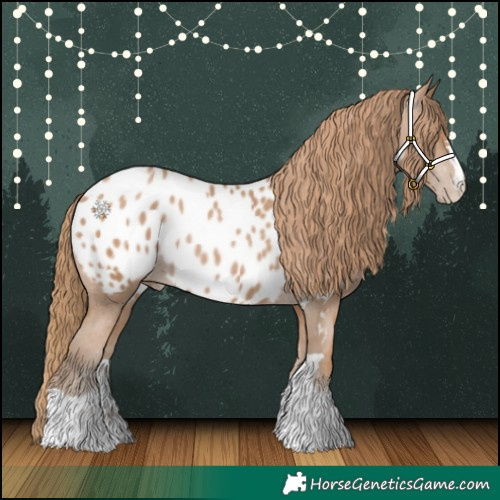 Horse Color:Black Pearl Near Leopard Rabicano 