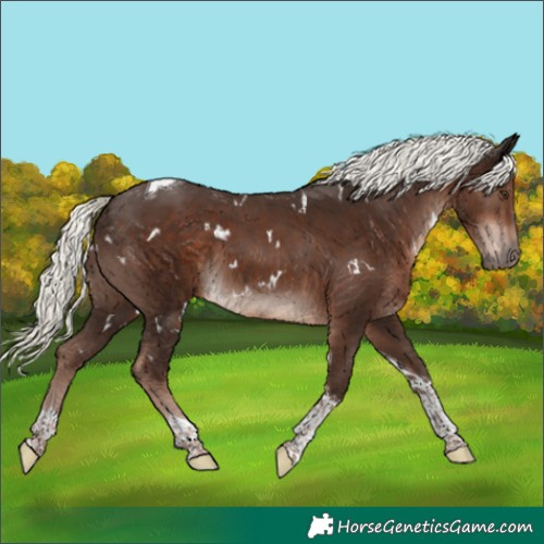 Horse Color:White Spotted Liver Chestnut Mushroom Tobiano 