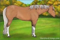 Horse Color:Silver Bay 