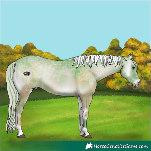 Horse Color:Watercolor Silver Blue Onyx Ice Tobiano 