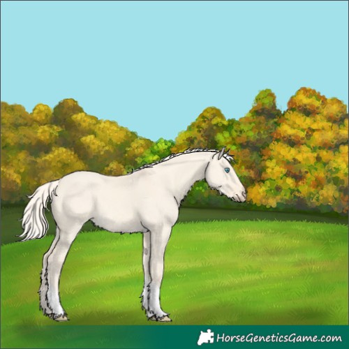 Horse Color:Cremello Dun Tobiano 