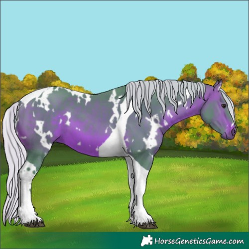 Horse Color:Watercolor White Spotted Silver Brown Tobiano 