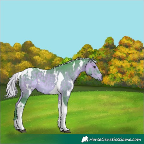 Horse Color:Watercolor White Spotted Silver Brown Tobiano 