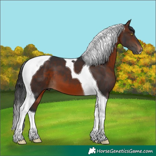 Horse Color:Brown Tobiano 
