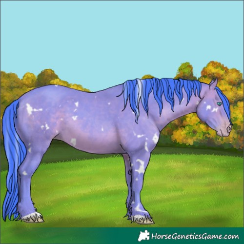 Horse Color:Watercolor White Spotted Sable Champagne 