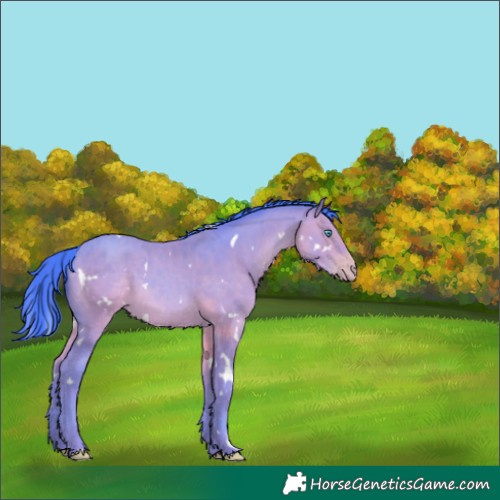 Horse Color:Watercolor White Spotted Sable Champagne 