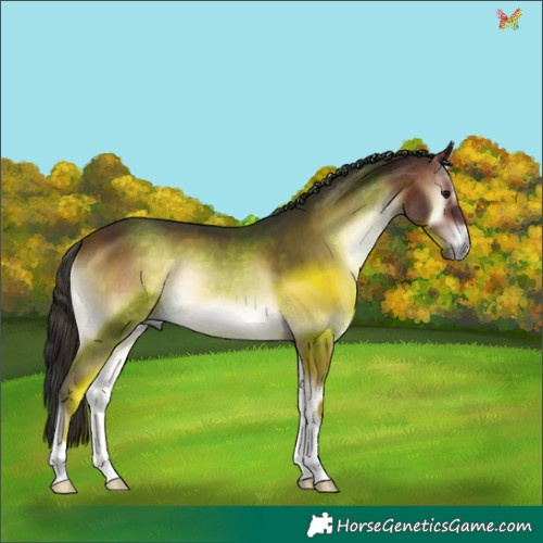 Horse Color:Brown Onyx 