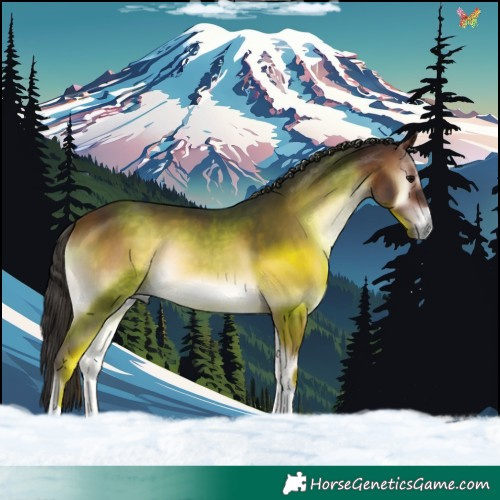 Horse Color:Brown Onyx 