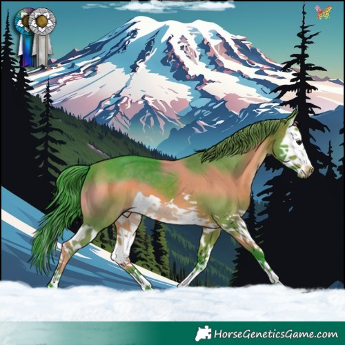 Horse Color:Watercolor Brown Splash 