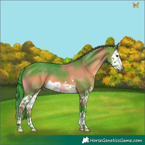 Horse Color:Watercolor Brown Splash 