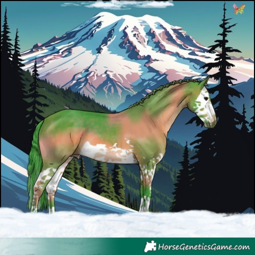 Horse Color:Watercolor Brown Splash 