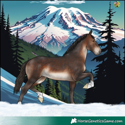 Horse Color:Brown 