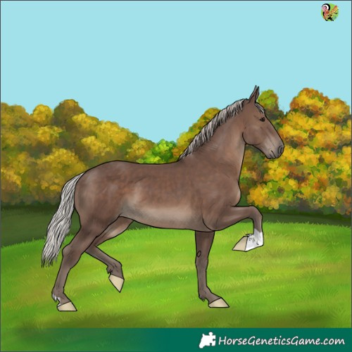 Horse Color:Silver Black 