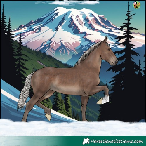 Horse Color:Silver Black 