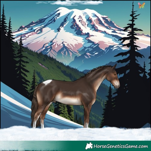 Horse Color:Liver Chestnut Tobiano 