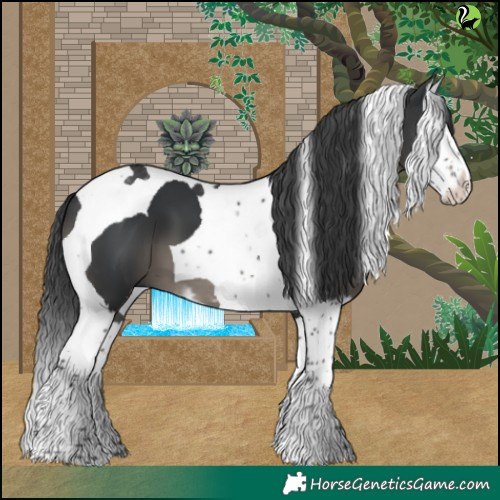 Horse Color:Black Splash Tobiano 