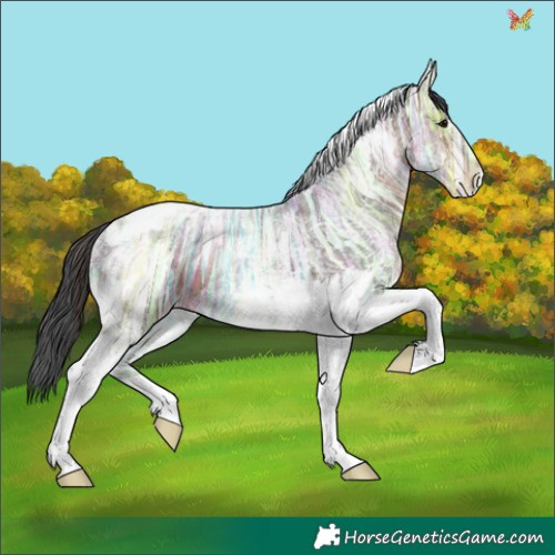 Horse Color:Brown Ice Tobiano 