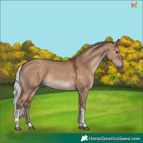 Horse Color:Silver Grullo Tobiano 