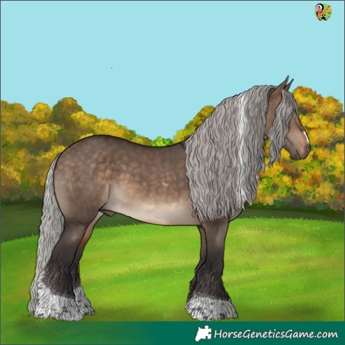 Horse Color:Silver Brown Dun Tobiano 