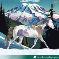 Horse Color:Watercolor Bay Splash Tobiano Appaloosa Rabicano 