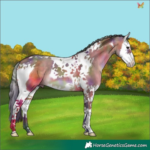 Horse Color:Nacre Bay Dun Splash Tobiano 