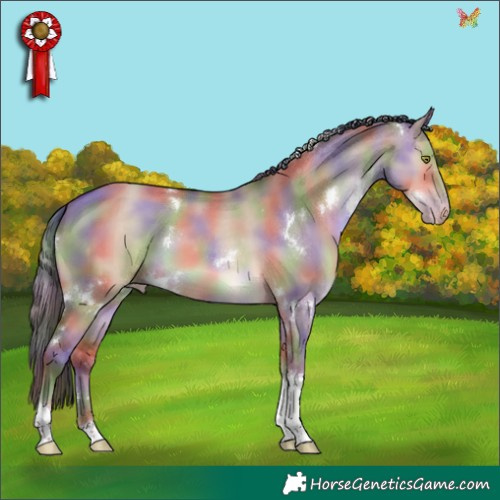 Horse Color:Nacre White Spotted Sable Champagne Dun Tobiano 