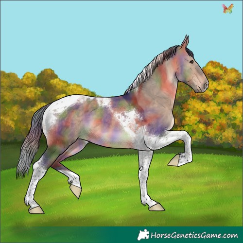 Horse Color:Nacre Brown Dun Tobiano 