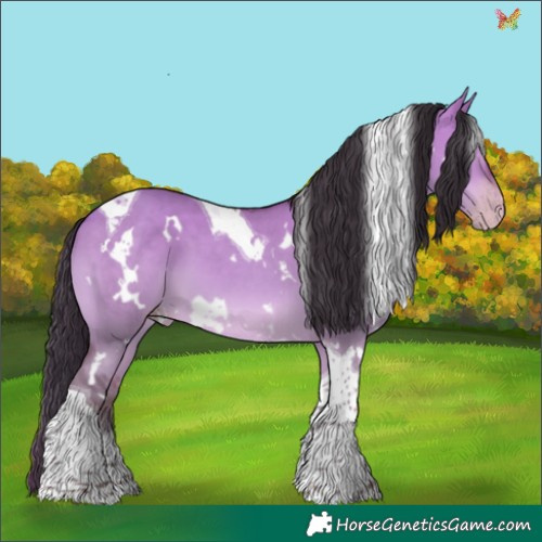 Horse Color:White Spotted Sable Champagne Dun Tobiano 