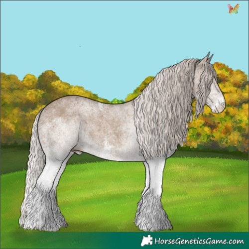 Horse Color:White Spotted Silver Grullo 