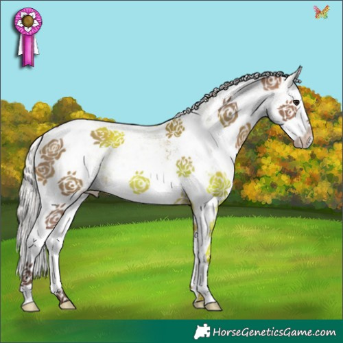 Horse Color:White Spotted Silver Bay Dun Splash 