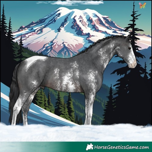 Horse Color:Brown Sabino Tobiano 