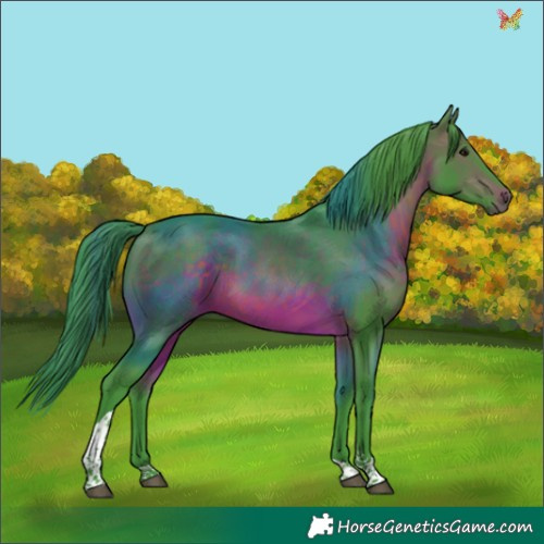 Horse Color:Watercolor Brown Tobiano 