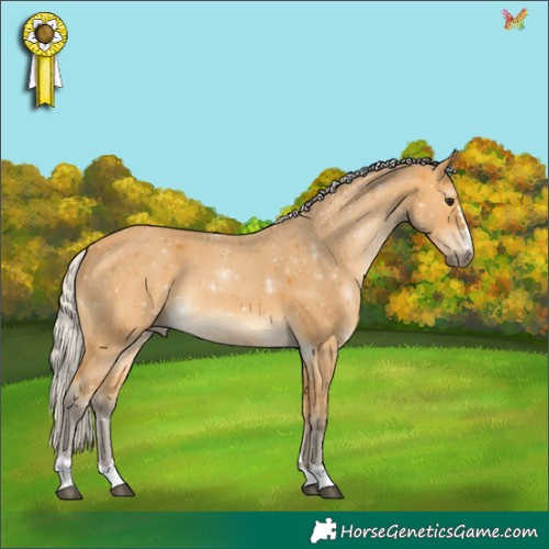 Horse Color:Silver Buckskin 