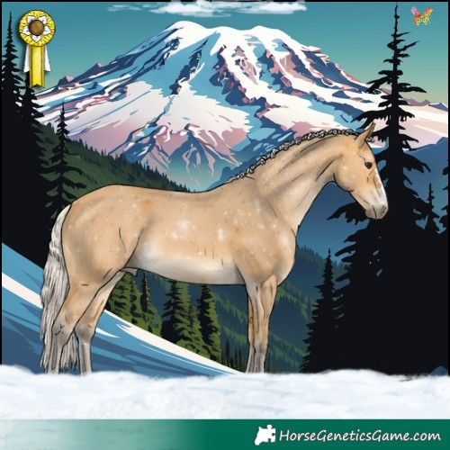 Horse Color:Silver Buckskin 