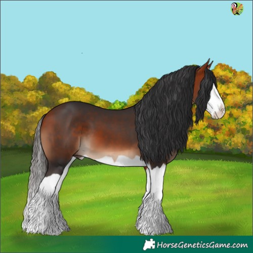 Horse Color:Bay Splash 