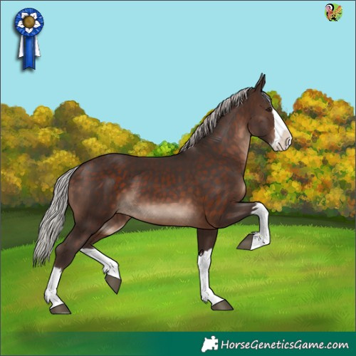 Horse Color:Silver Brown Splash 