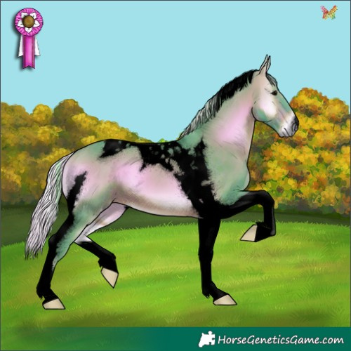 Horse Color:Void Watercolor Silver Brown Onyx Tobiano 