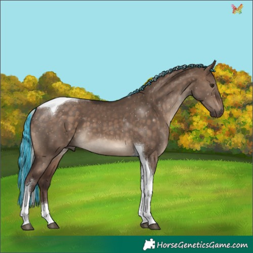 Horse Color:Painted Silver Brown Dun Tobiano 