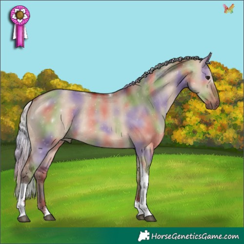 Horse Color:Nacre Silver Bay Dun Tobiano Rabicano 