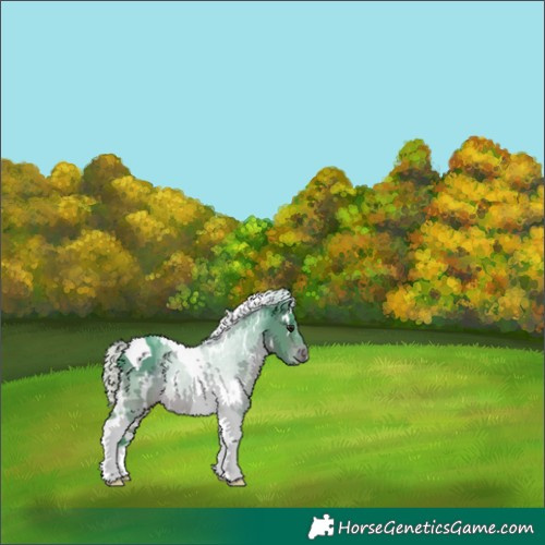 Horse Color:Watercolor White Spotted Silver Brown Tobiano 