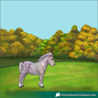 Horse Color:Watercolor White Spotted Silver Black Tobiano