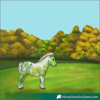 Horse Color:Watercolor White Spotted Silver Bay Tobiano 