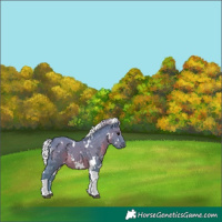 Horse Color:Watercolor White Spotted Silver Black Tobiano 