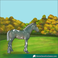 Horse Color:Watercolor White Spotted Silver Brown Tobiano 