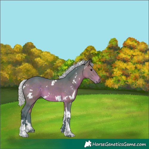 Horse Color:Watercolor White Spotted Silver Brown Tobiano 