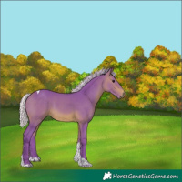 Horse Color:Watercolor Silver Brown Tobiano