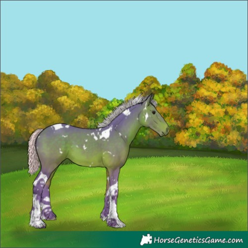 Horse Color:Watercolor White Spotted Silver Brown Tobiano 