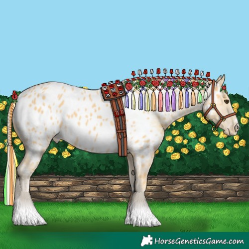 Horse Color:Painted Palomino Appaloosa 