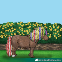 Horse Color:Painted Silver Black