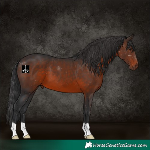 Horse Color:Brown Mushroom 